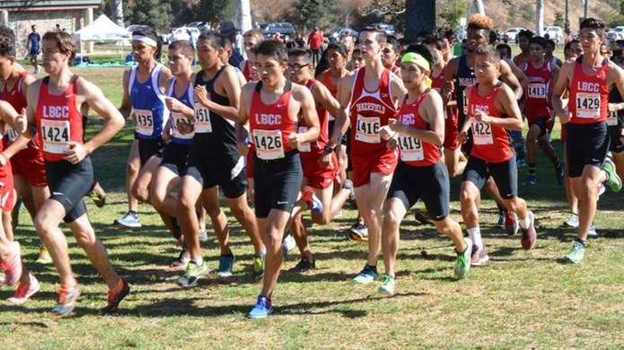 Long Beach Men's Cross Country Places Ninth in Ventura Invitational